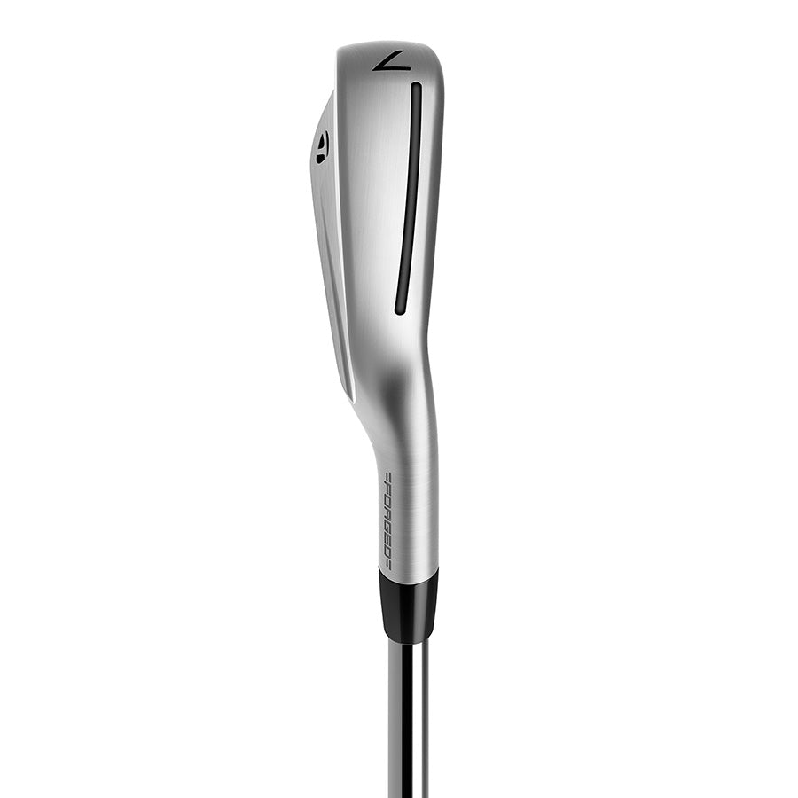 TaylorMade P790 Golf Irons | Steel