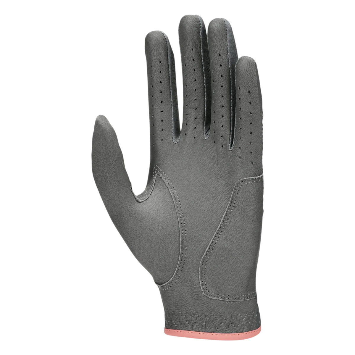 Nike Tech Extreme VIII Golf Glove IQ5934