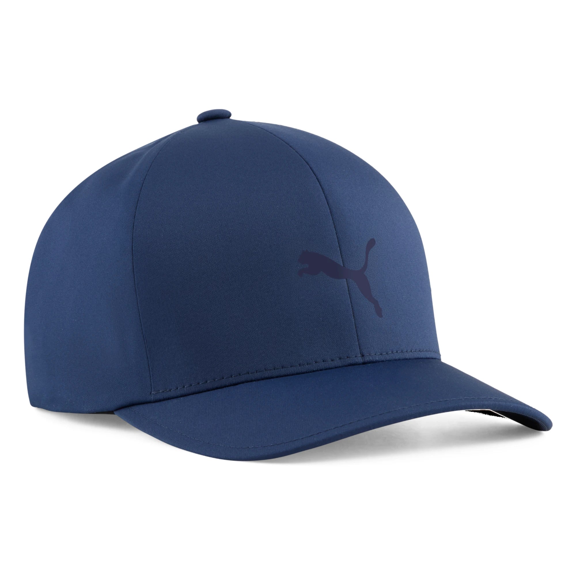 Puma Storm Golf Cap 027563