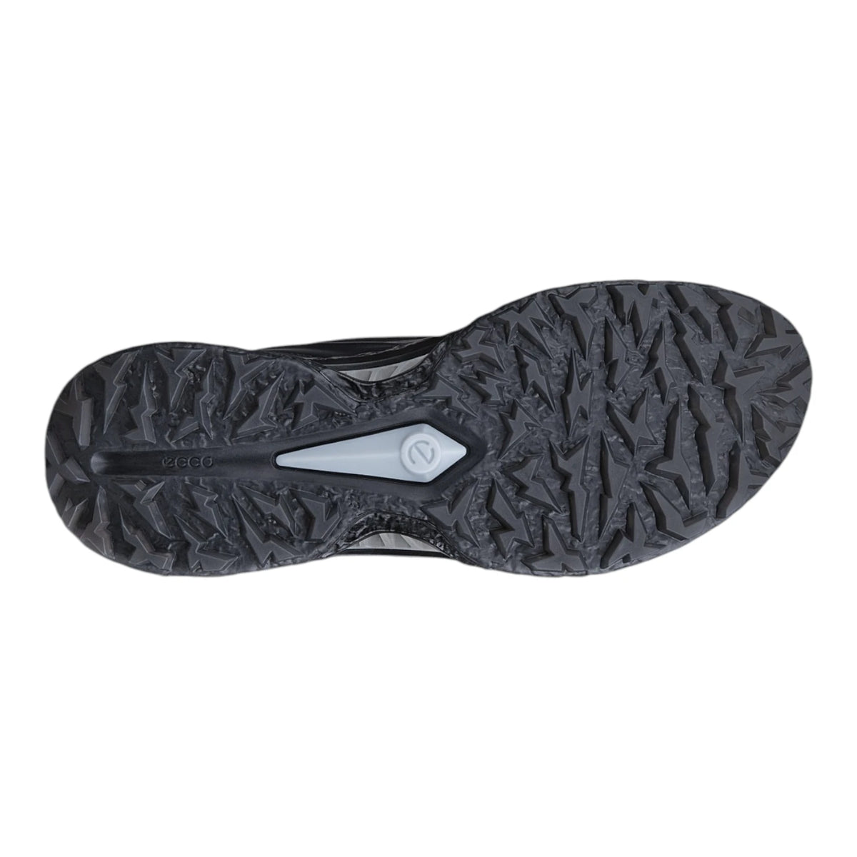 Ecco Biom C5 Premium BOA Golf Shoes 132634