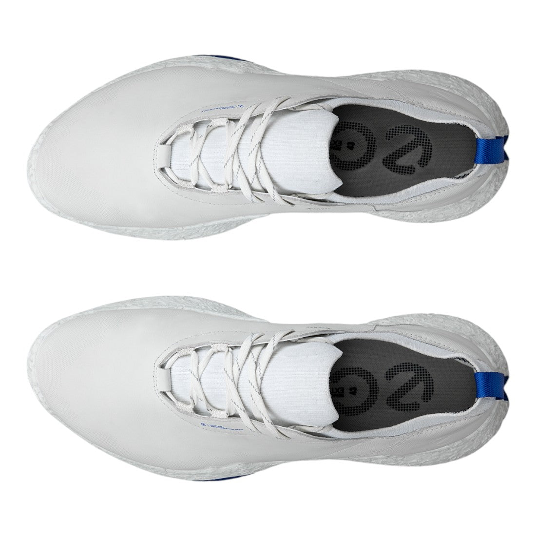 Ecco Golf Biom H5 Golf Shoes 138014