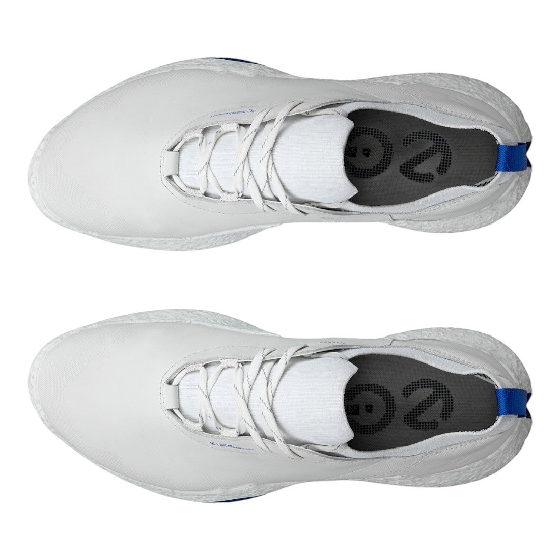 Ecco Biom H5 Golf Shoes 138014