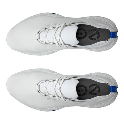 Ecco Biom H5 Golf Shoes 138014
