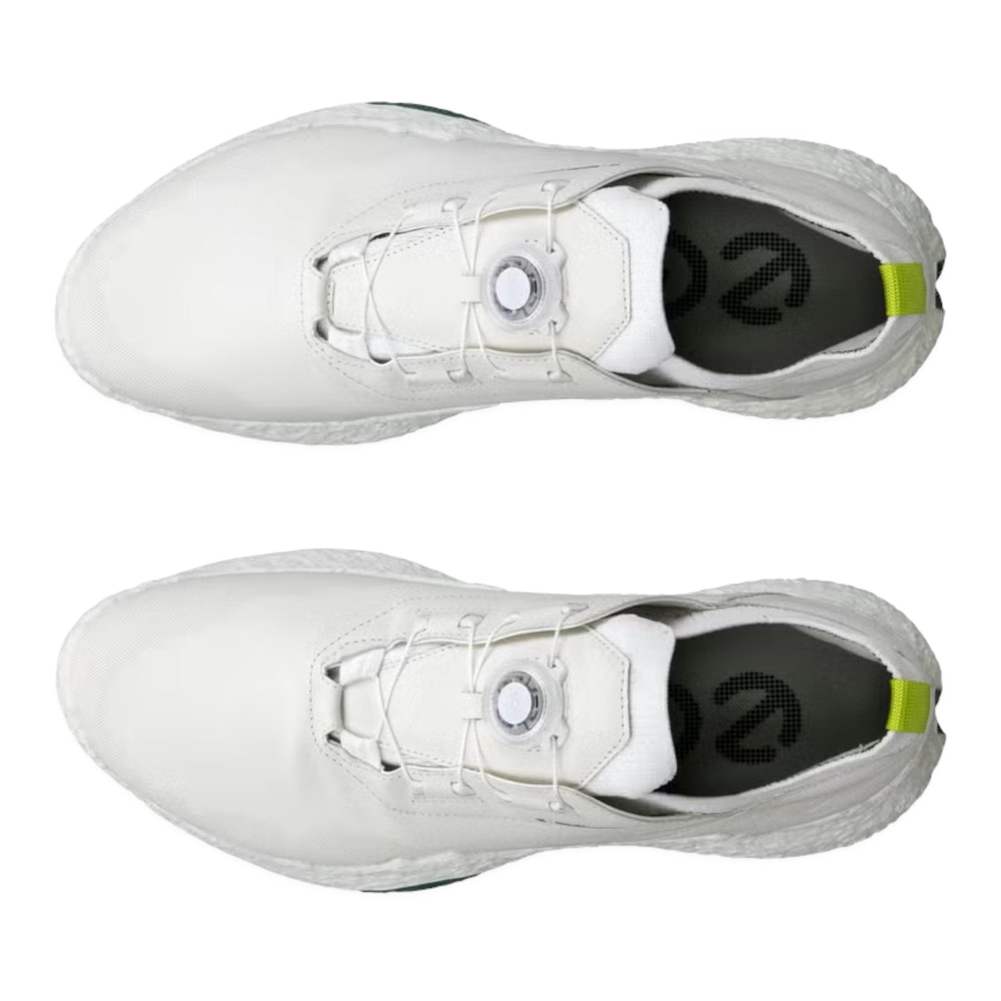 ECCO Biom H5 Waterproof Golf Shoe 138074