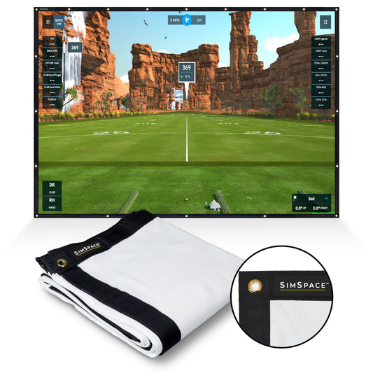 SimSpace Platinum Impact Screen