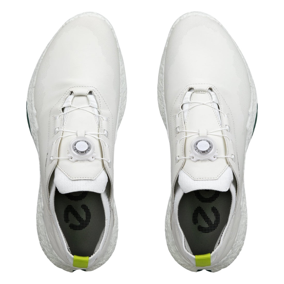 Ecco Biom H5 BOA Golf Shoes 138024