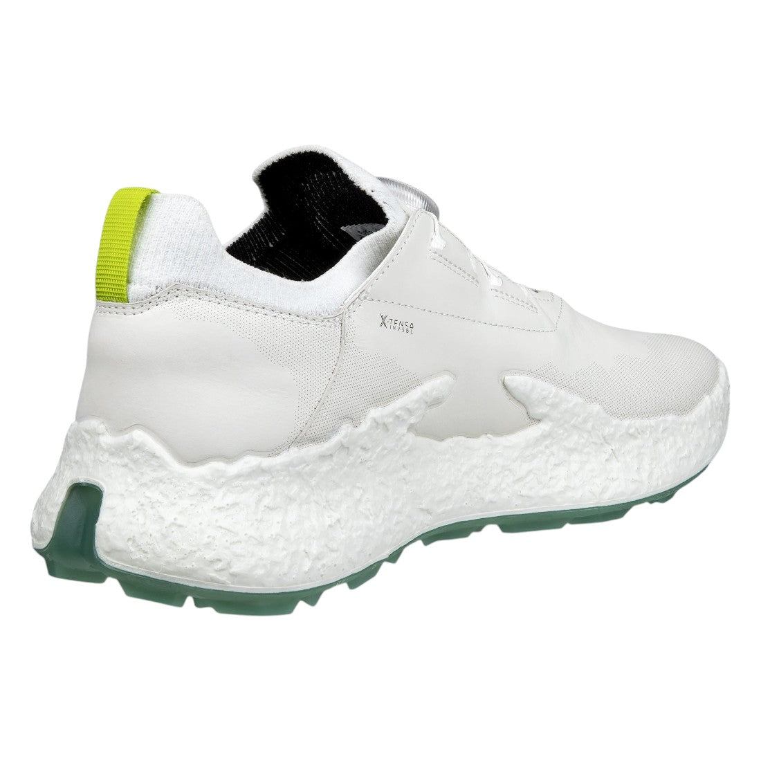 Ecco Biom H5 BOA Golf Shoes 138024
