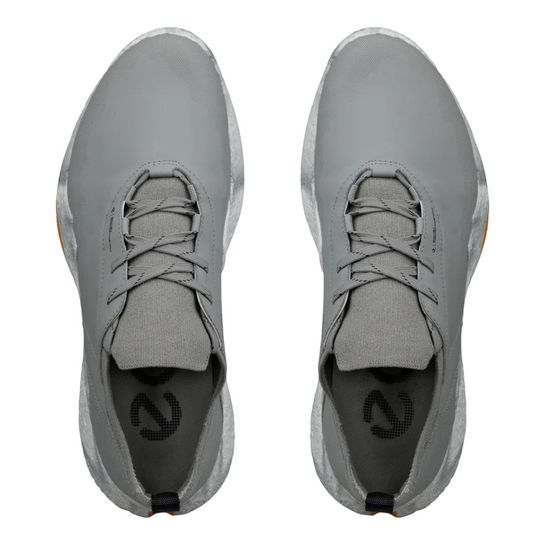 Ecco Biom H5 Golf Shoes 138014
