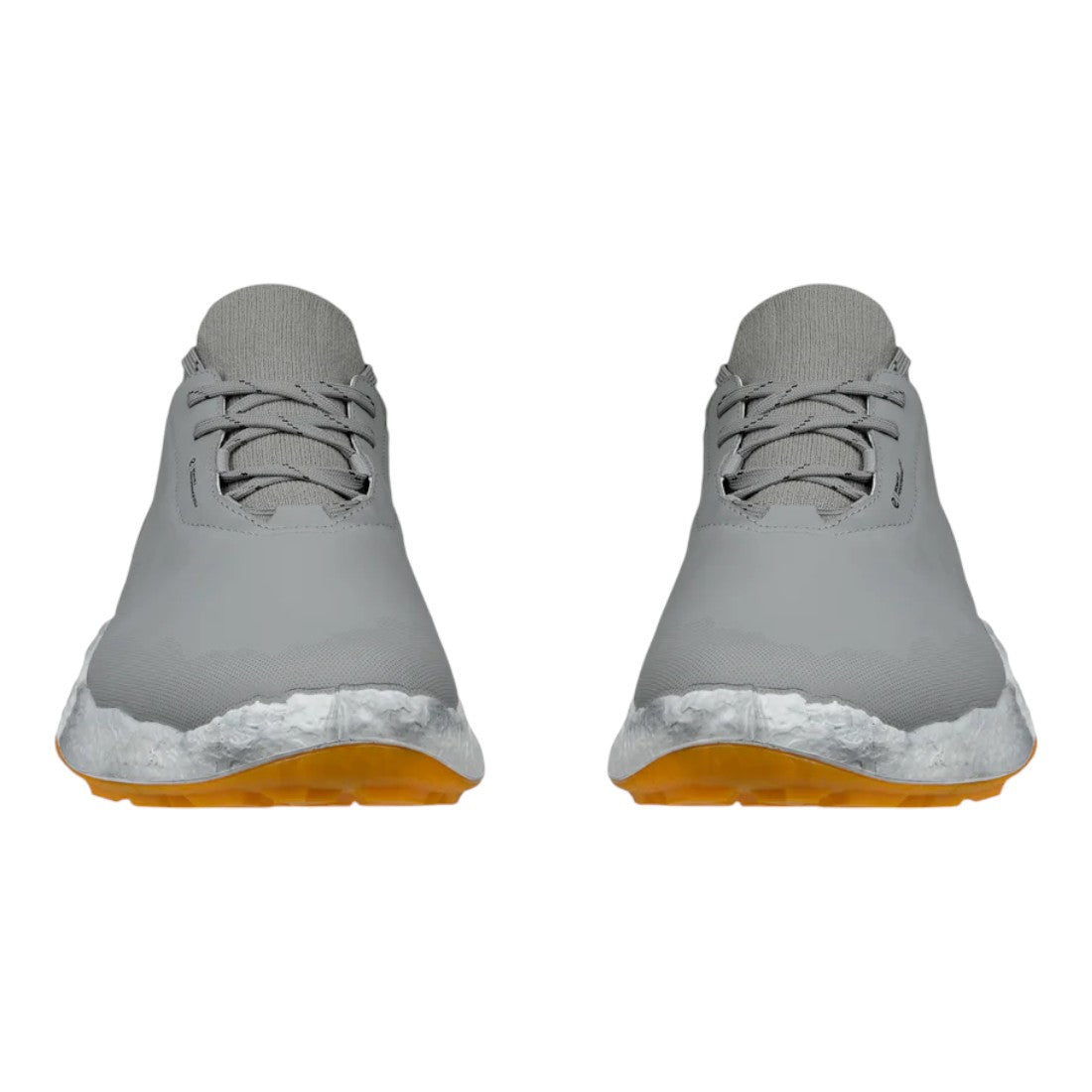 Ecco Biom H5 Golf Shoes 138014