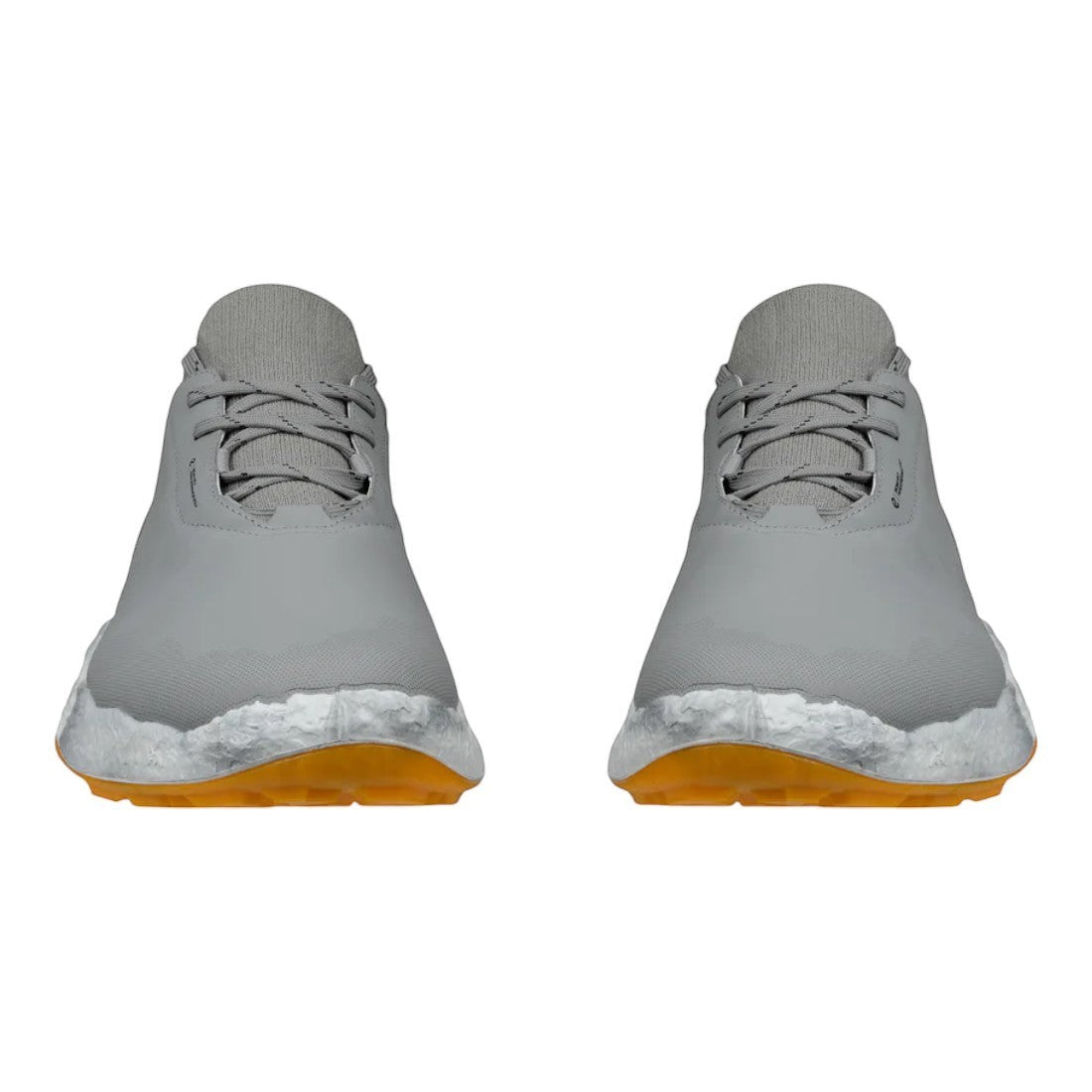 Ecco Biom H5 Golf Shoes 138014
