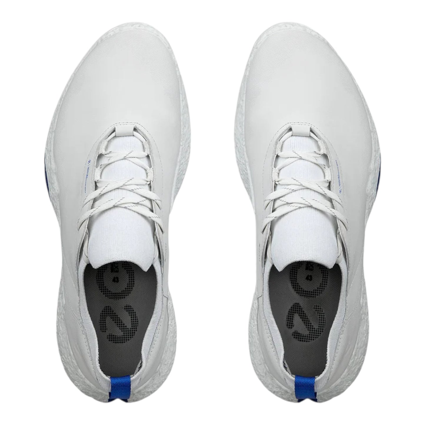 ECCO Golf Biom H5 Waterproof Golf Shoe 138074