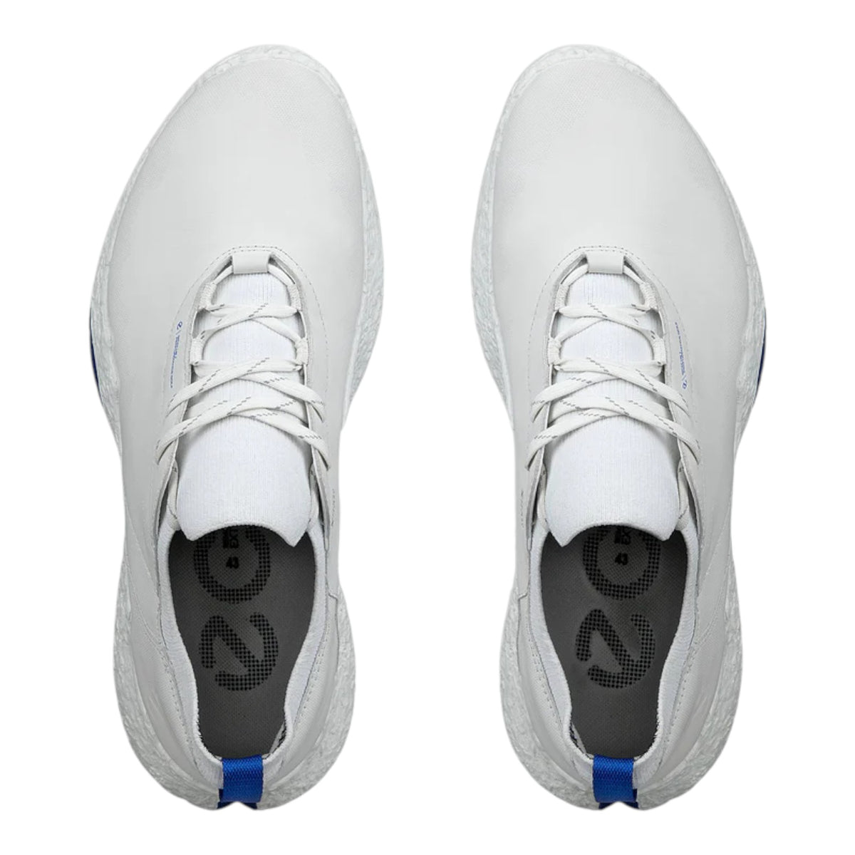 ECCO Golf Biom H5 Waterproof Golf Shoe 138074