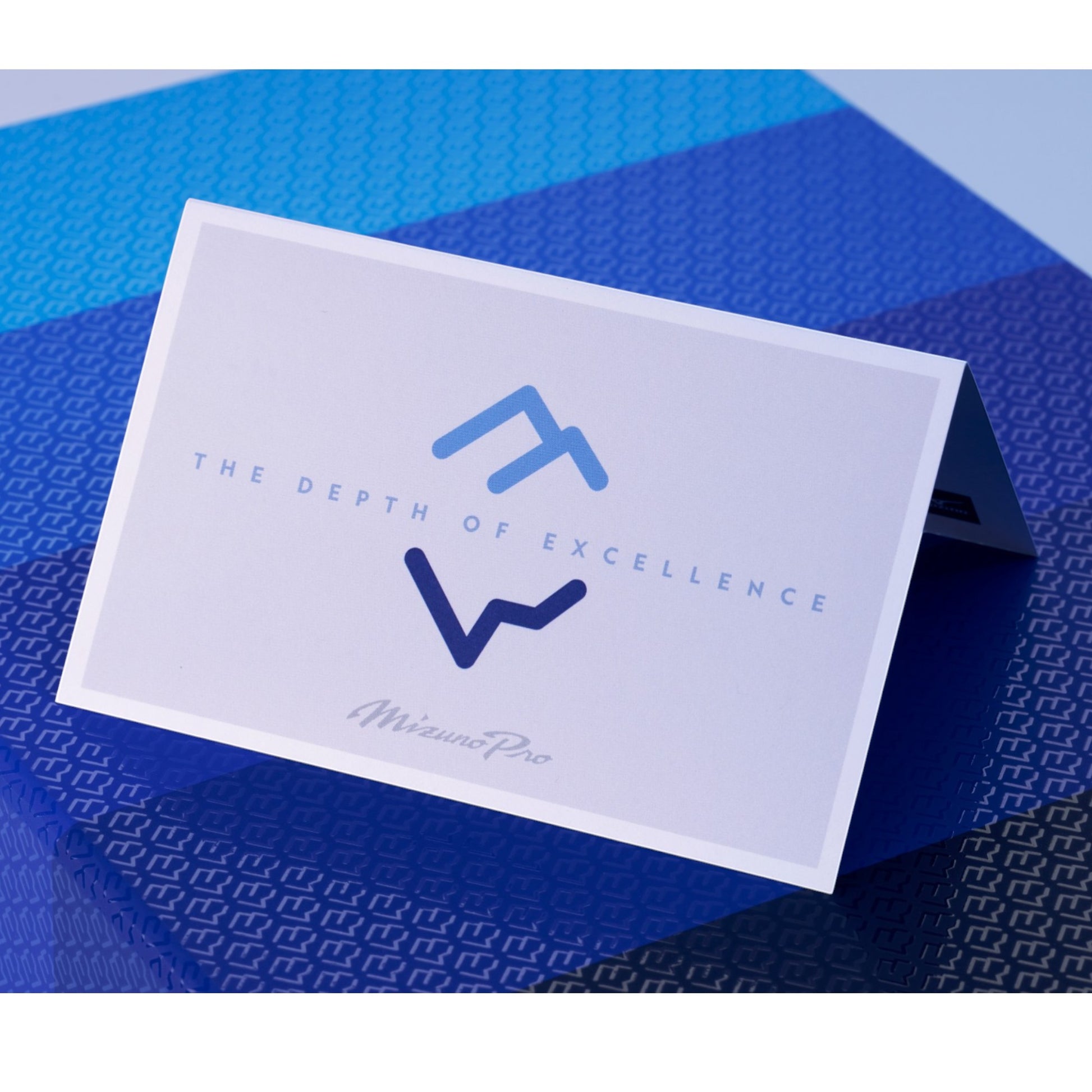 Mizuno Pro Iceberg Golf Irons