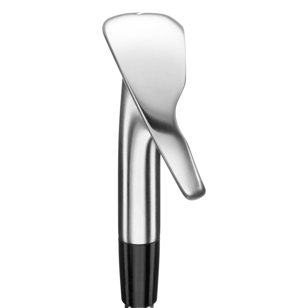 Mizuno Pro M-15 Golf Irons | Steel