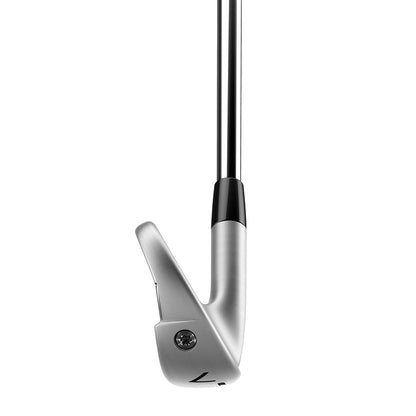 TaylorMade P790 Golf Irons | Graphite