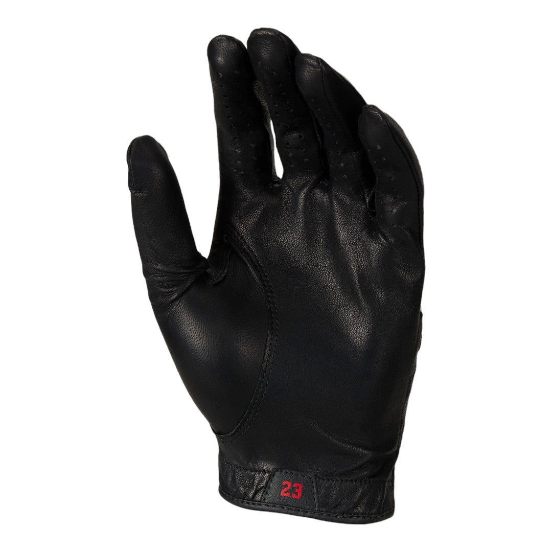 NIKE JORDAN TOUR GOLF GLOVE FN0534 - Main Image