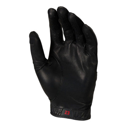 Nike Jordan Tour Golf Glove FN0534