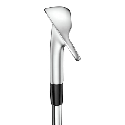 Mizuno Pro S-4 Golf Irons | Steel