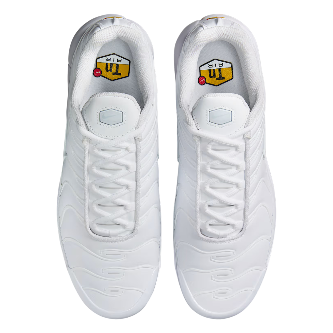 Nike Air Max Plus G Golf Shoes FZ4150