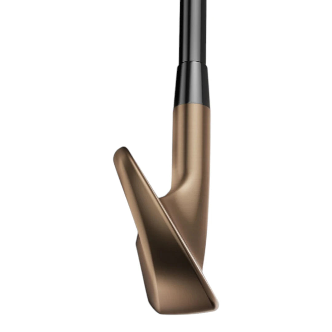 Titleist T100 アイアン　4～P DB7B7C7D-2D60-4DC4-8A80-