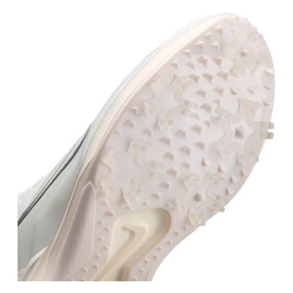 Nike Pegasus 1 Golf Shoes HV4700