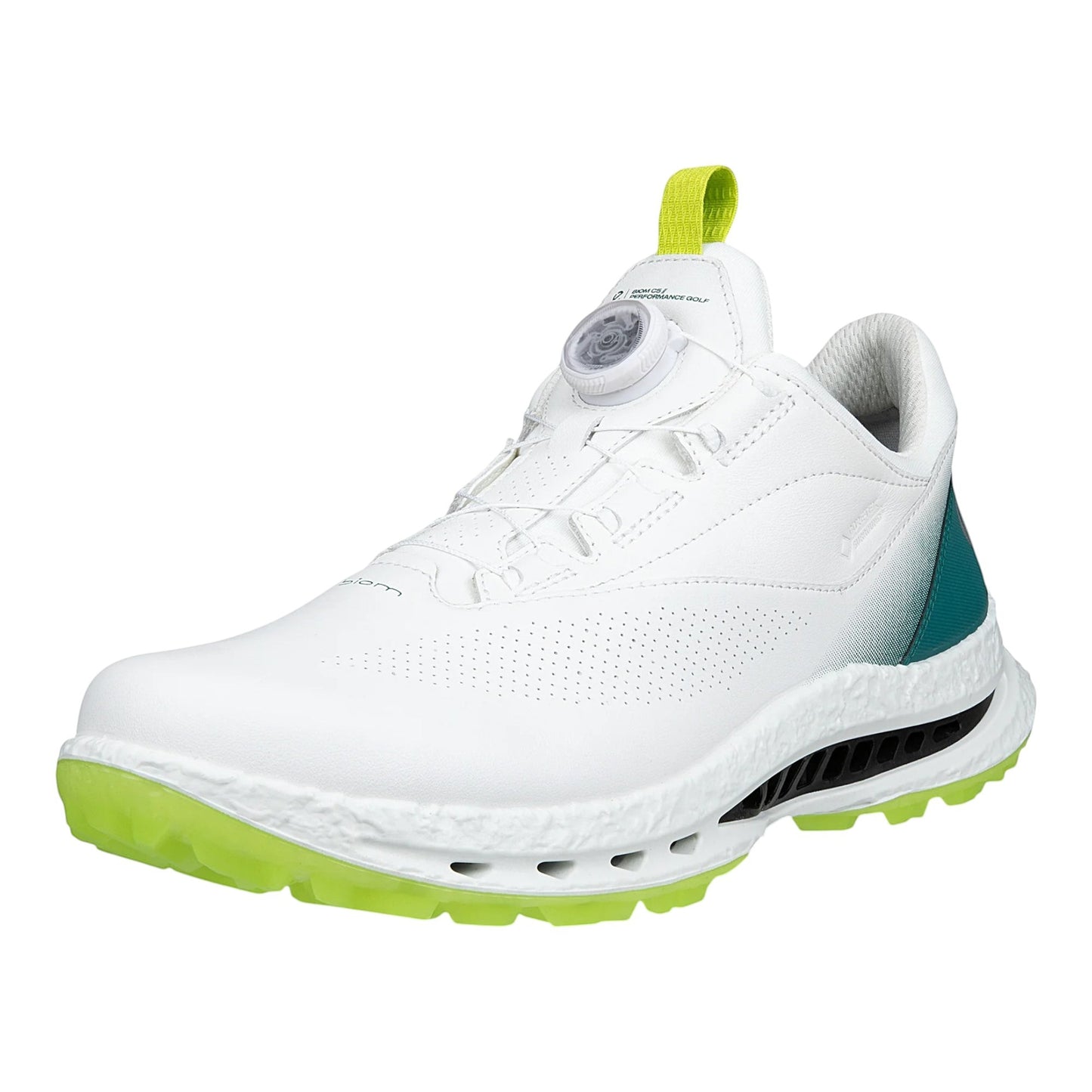 Ecco Biom C5 Golf Shoes 132614