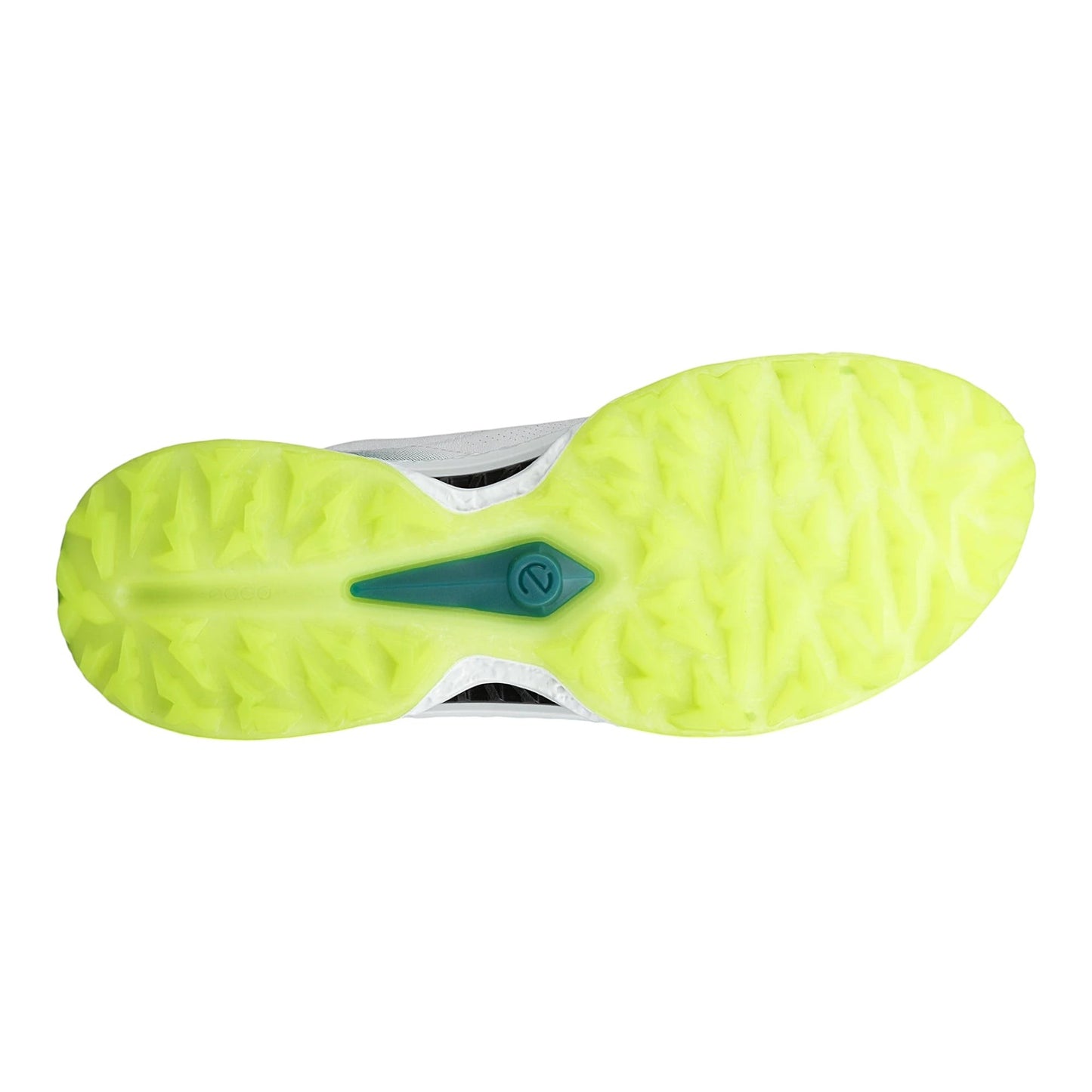 Ecco Biom C5 Golf Shoes 132614