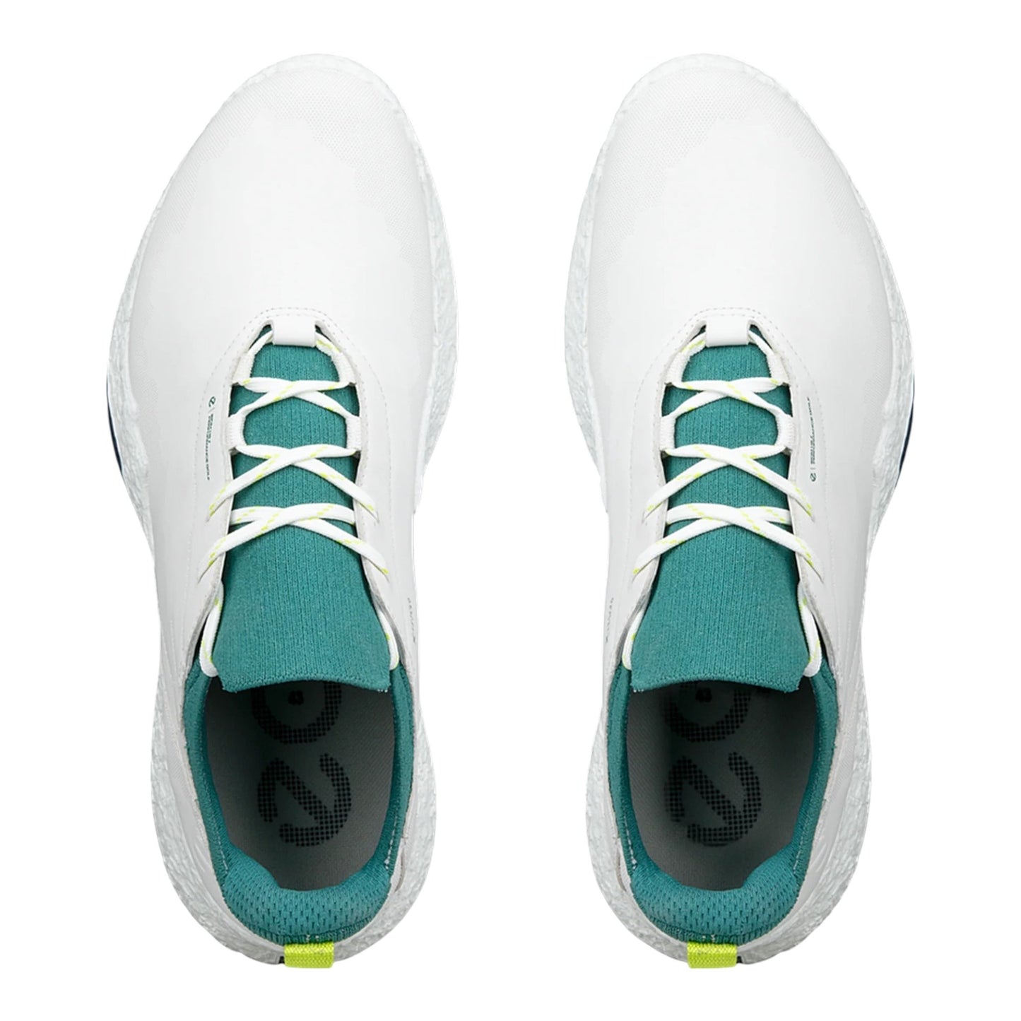 Ecco Biom H5 Golf Shoes 138064