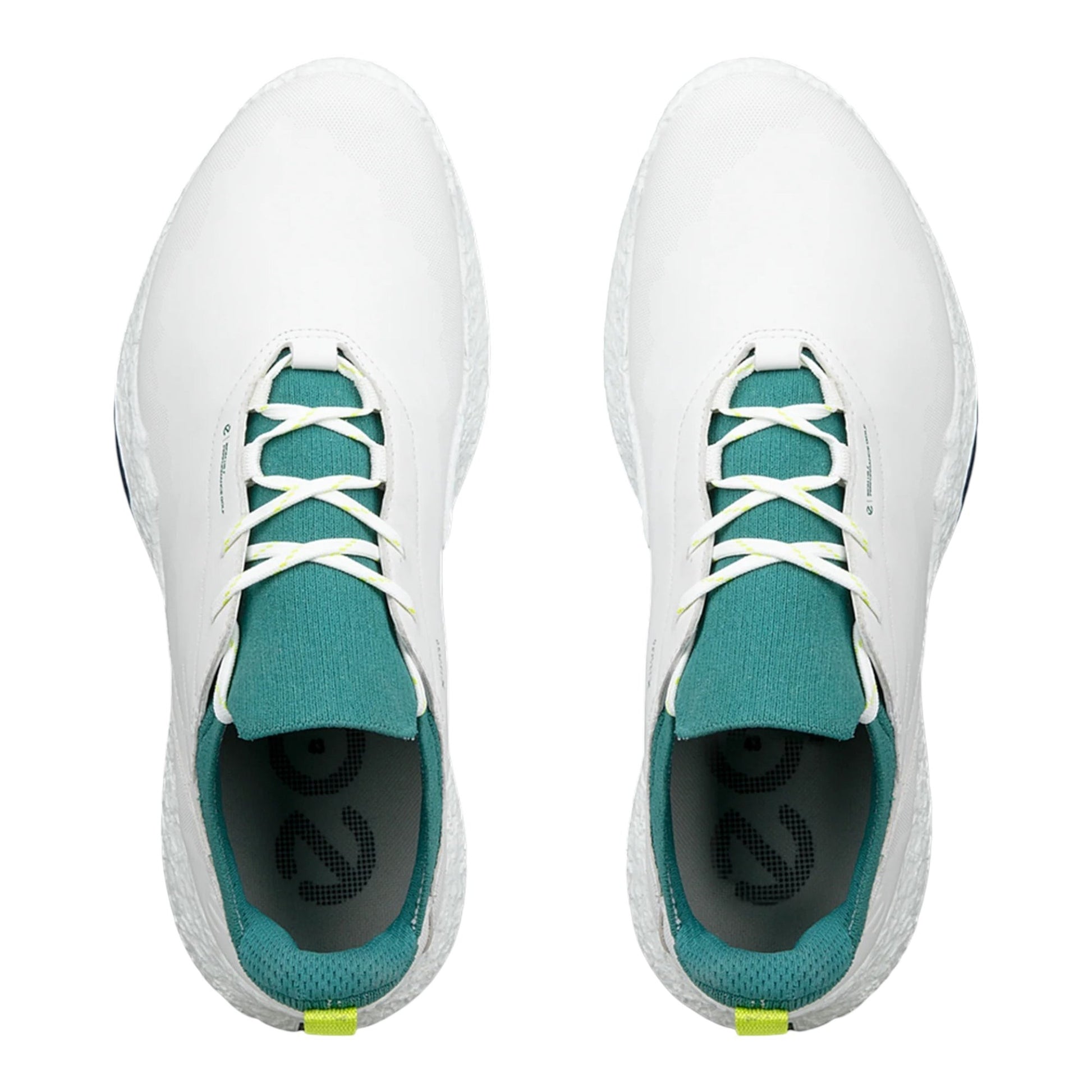 Ecco Biom H5 Golf Shoes 138064