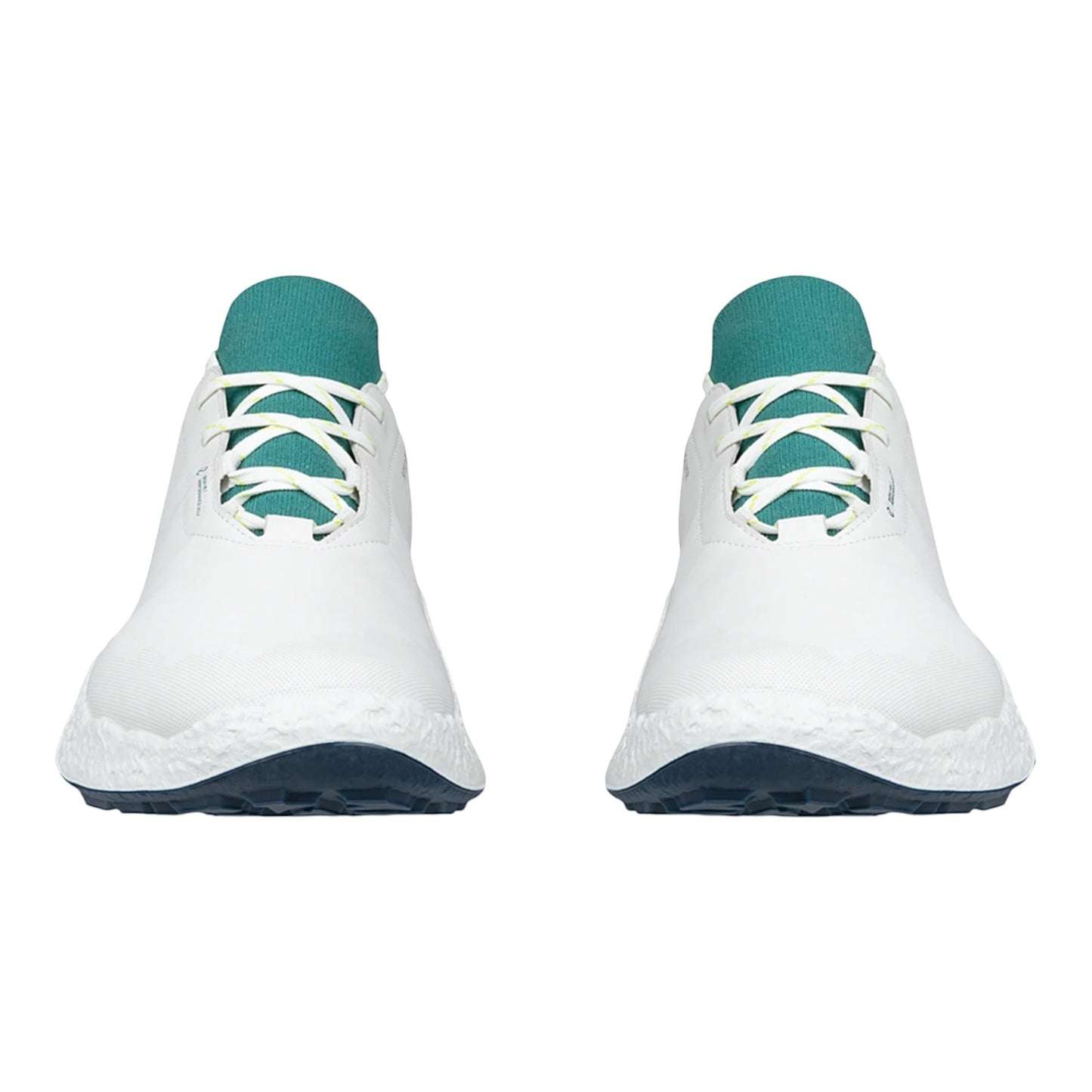 Ecco Biom H5 Golf Shoes 138064