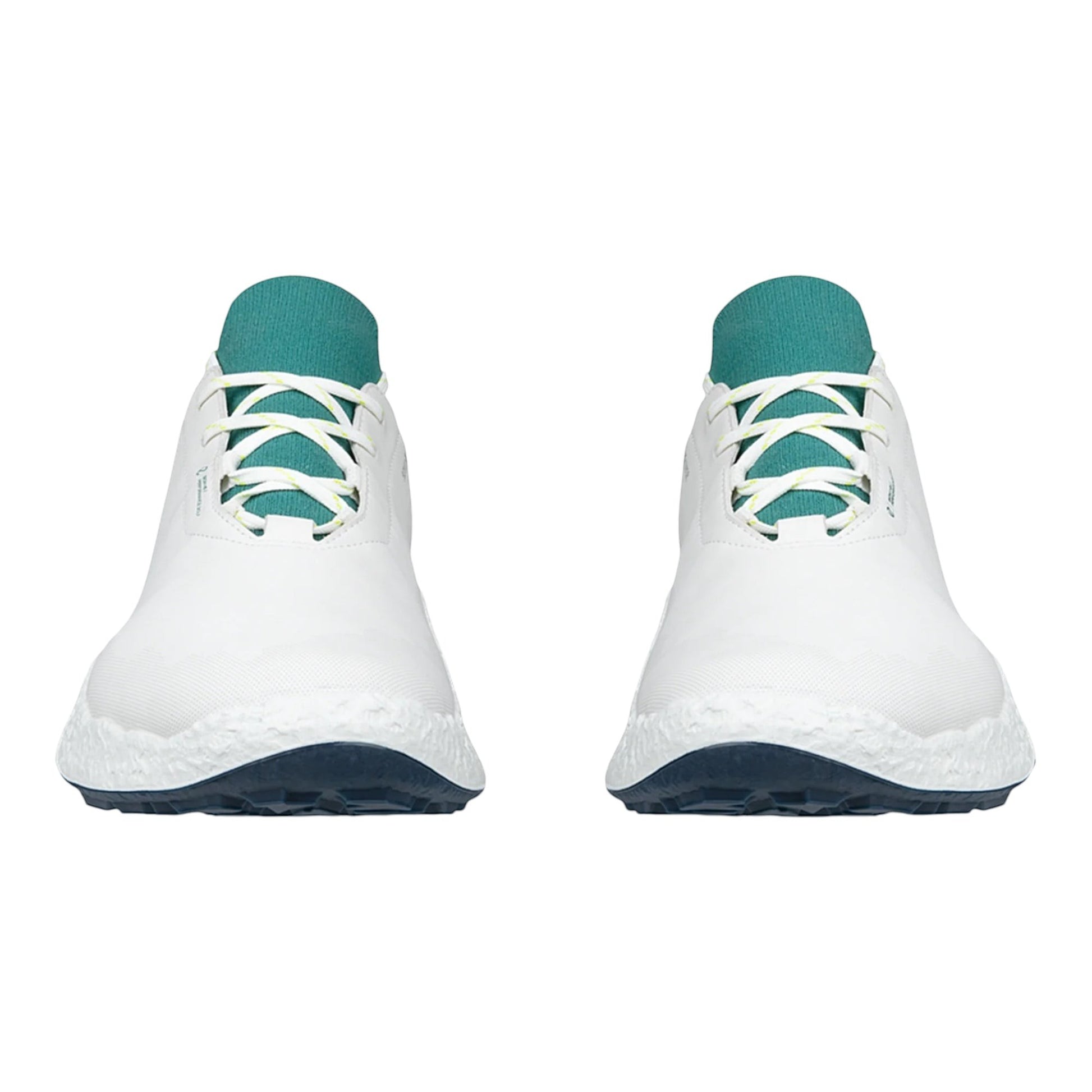 Ecco Biom H5 Golf Shoes 138064