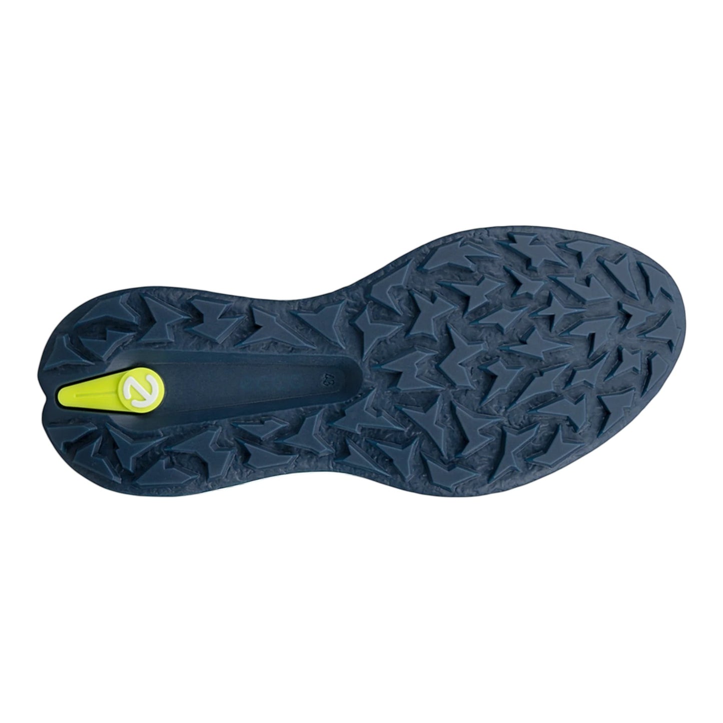 Ecco Biom H5 Golf Shoes 138064