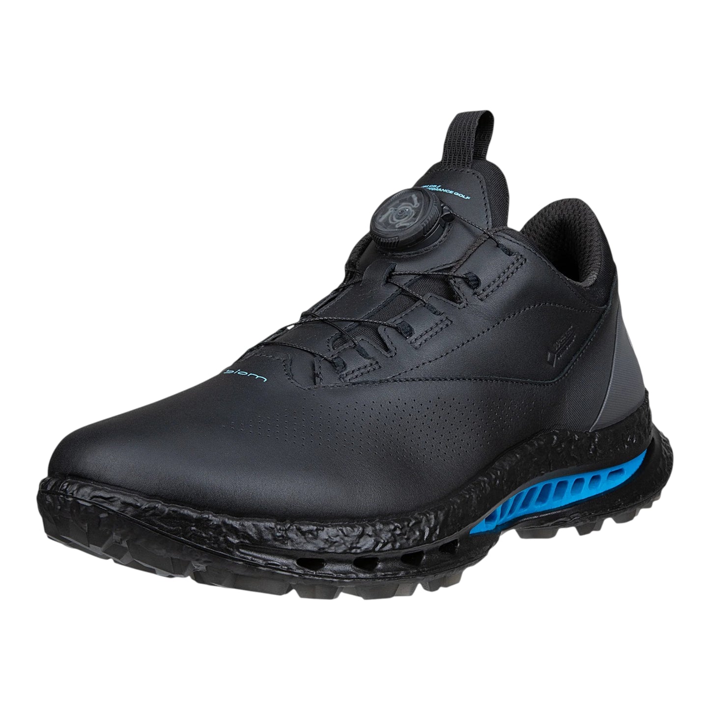 Ecco Biom C5 Boa Golf Shoes 132614