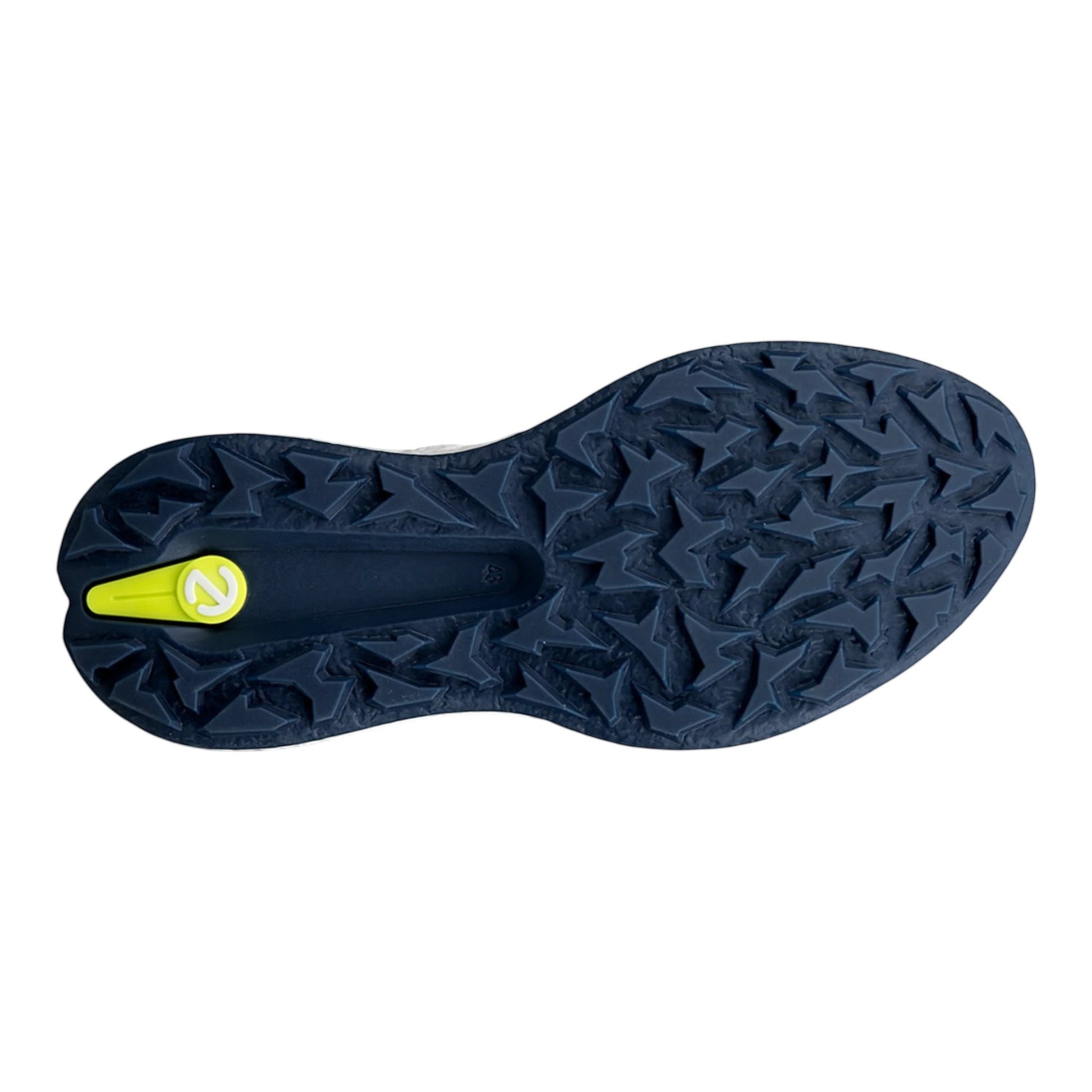 Ecco Biom H5 Golf Shoes 138074