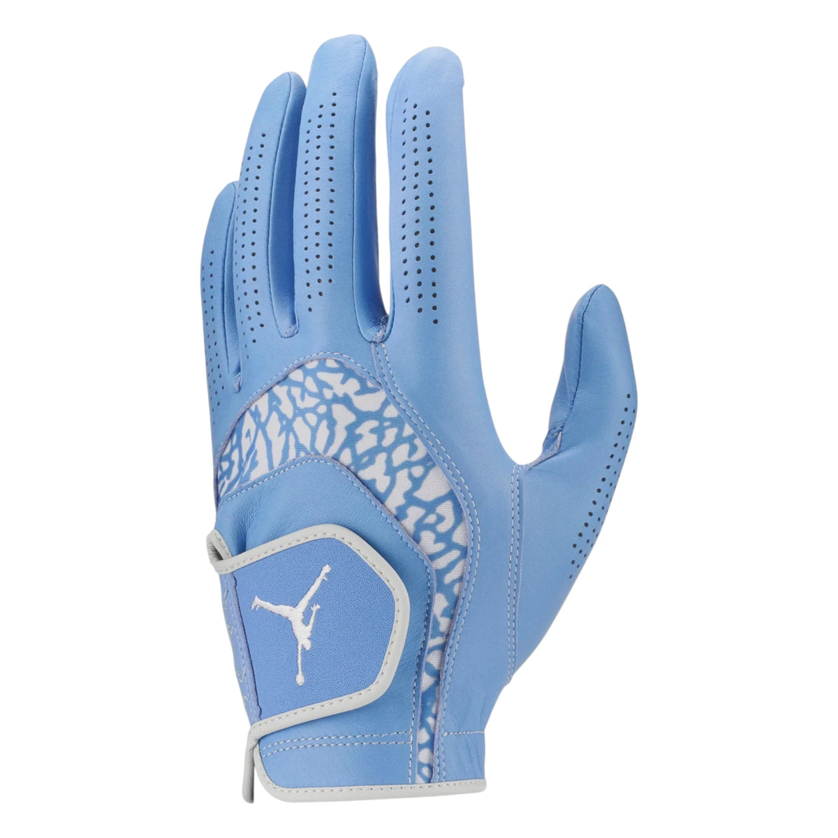 Nike Jordan Tour Golf Glove FN0534