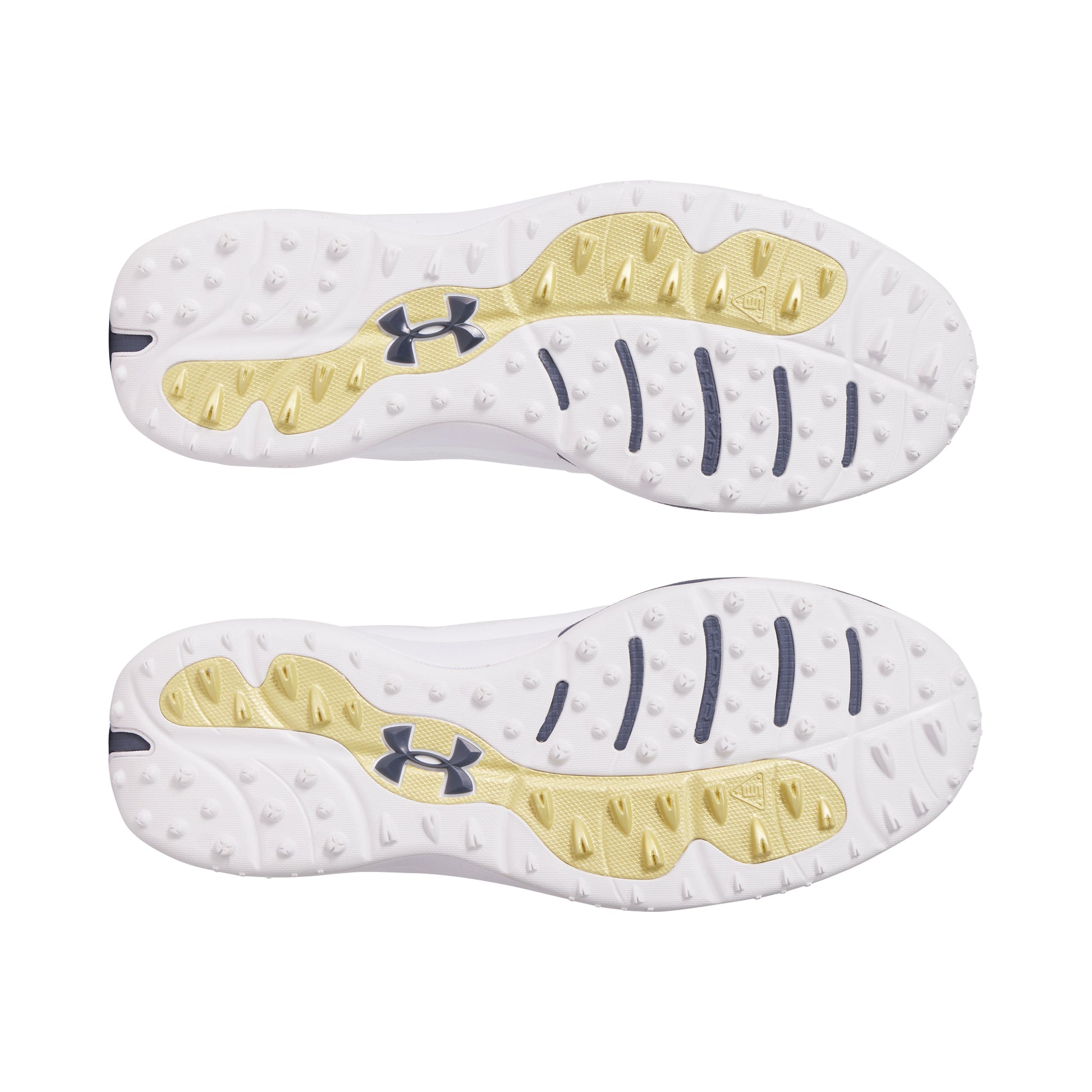 Under Armour Drive Pro SL Golf Shoes 3026921