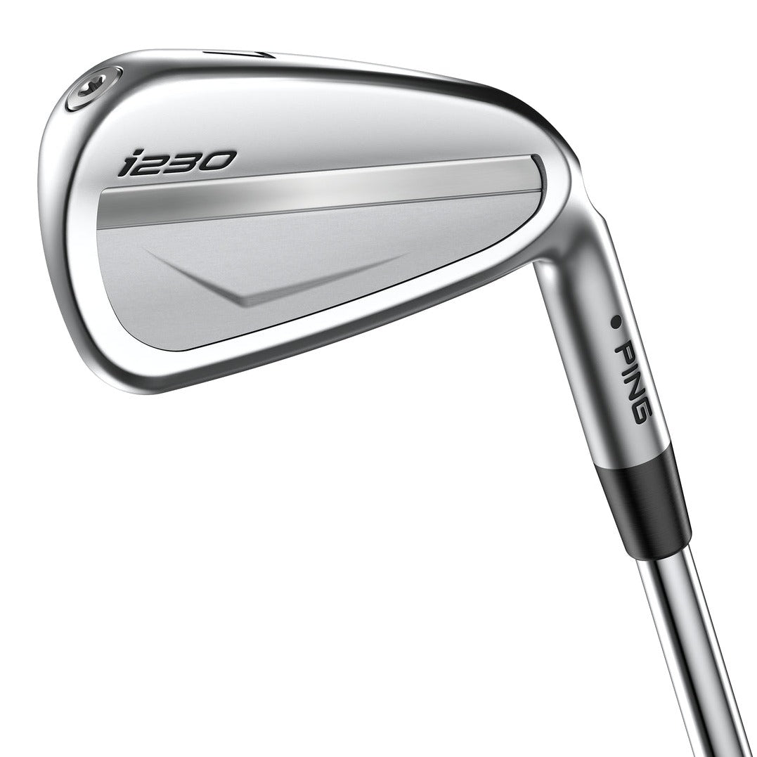 Ping i230 Golf Irons