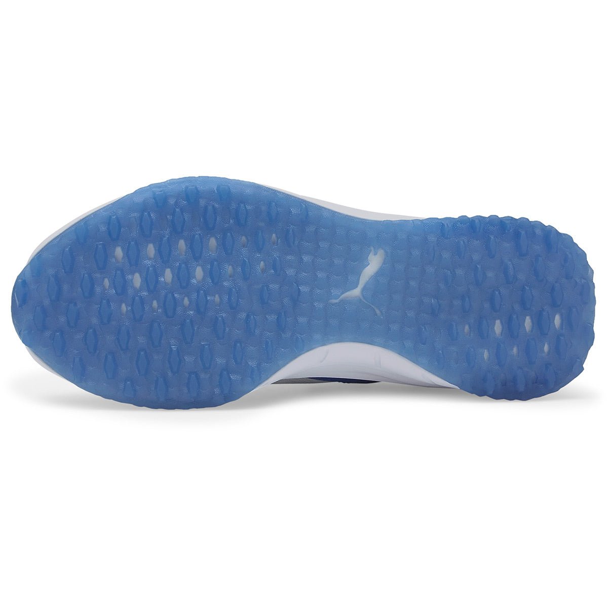 Puma Fusion Evo Golf Shoes 193850